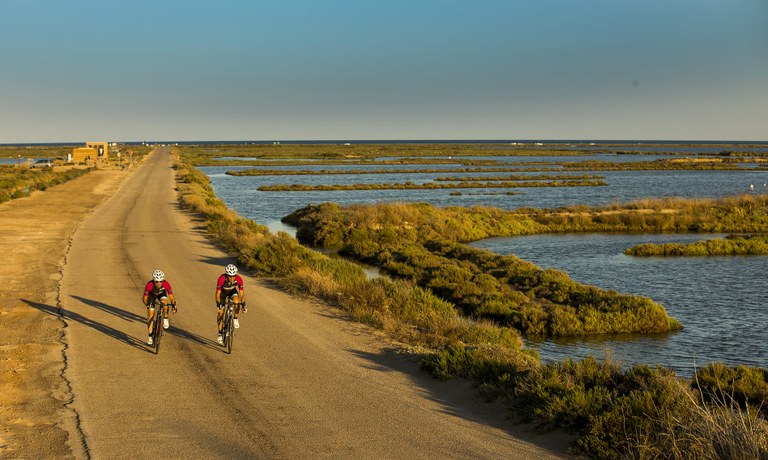 Salou - Delta de l'Ebre 3